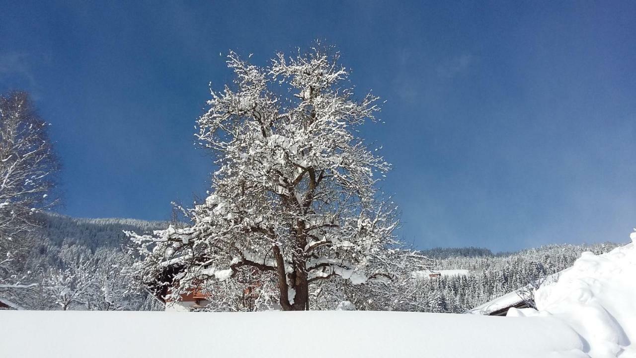 Schartlhof Villa ฟลาคเฮา ภายนอก รูปภาพ